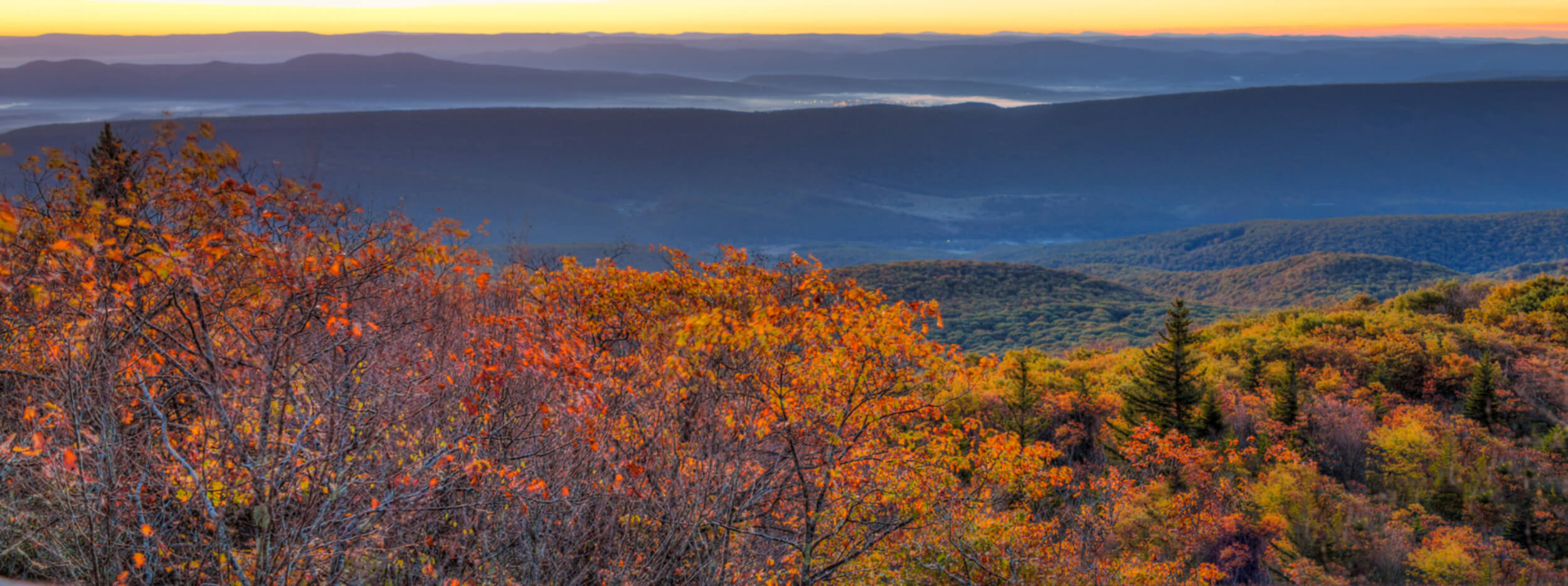 About Us Appalachian Mountain Advocates   About 1 